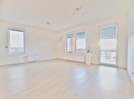 . | Pronájem bytu, 1+kk, 46 m²