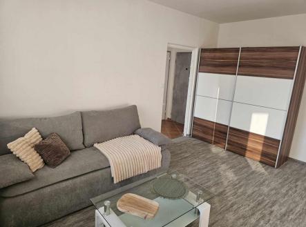 1 (5).jpg | Pronájem bytu, 1+1, 30 m²