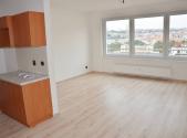Pronájem bytu, 1+kk, 47 m²