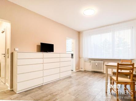Pronájem bytu, 1+kk, 30 m² obrázek