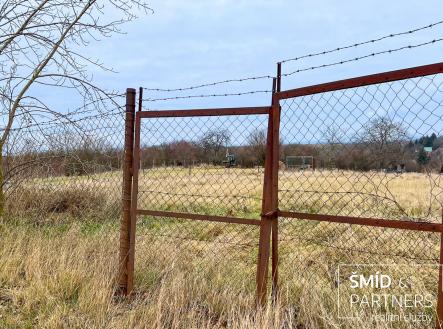 20250206-IMG_2824.jpg | Pronájem - pozemek, zahrada, 800 m²