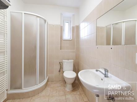 20250514-20250514_093146.jpg | Pronájem bytu, 1+kk, 27 m²