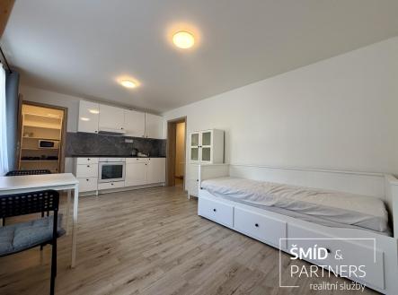 IMG_0180.jpg | Pronájem bytu, garsoniéra, 27 m²