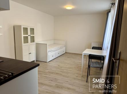 IMG_0163.jpg | Pronájem bytu, garsoniéra, 27 m²