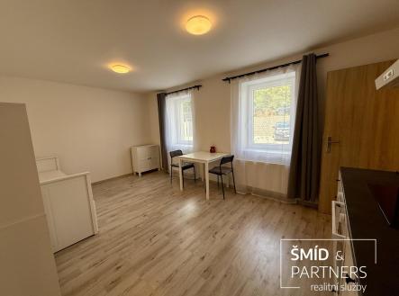 IMG_0168.jpg | Pronájem bytu, garsoniéra, 27 m²