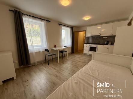IMG_0179.jpg | Pronájem bytu, garsoniéra, 27 m²