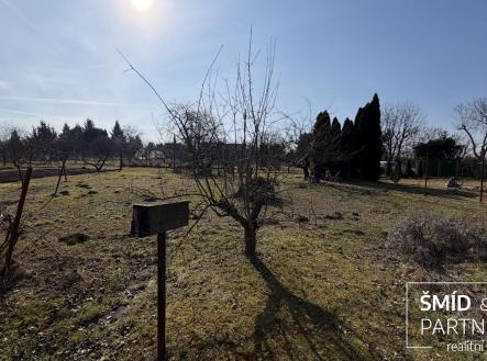 IMG_7296.jpg | Pronájem - pozemek, zahrada, 612 m²