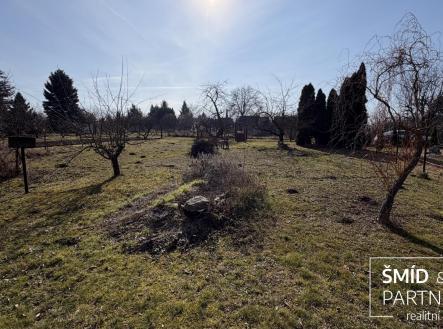 IMG_7293.jpg | Pronájem - pozemek, zahrada, 612 m²