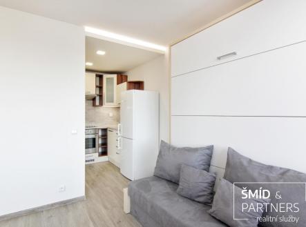 IMG_8347.jpg | Pronájem bytu, 1+kk, 33 m²
