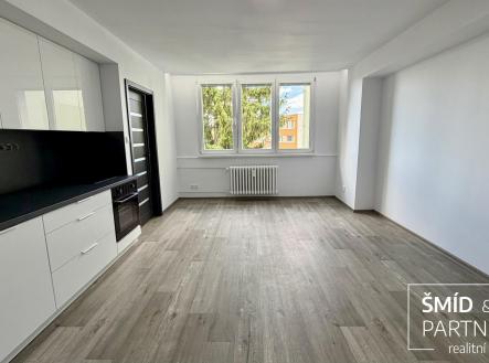 IMG_8225.jpg | Pronájem bytu, 3+kk, 62 m²