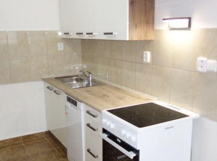 DSC06553.JPG | Pronájem bytu, 1+kk, 41 m²