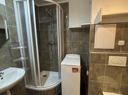 IMG_6721.JPG | Pronájem bytu, 1+kk, 41 m²