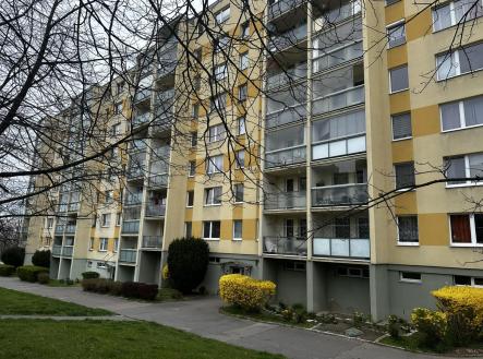 Prodej bytu, 1+kk, 28 m² obrázek