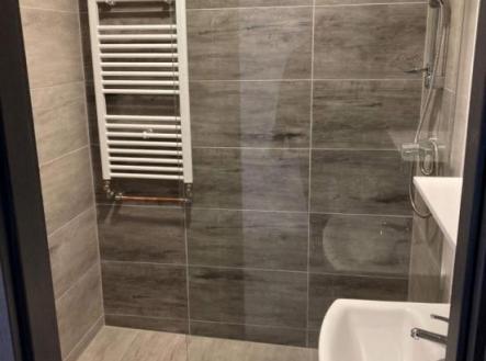 6d20d096-5142-4993-bb86-ac2b8b75ae89.jpg | Pronájem bytu, 2+1, 54 m²