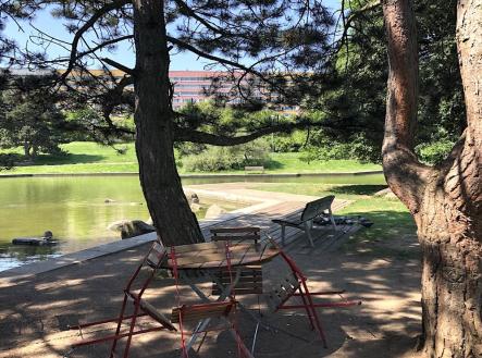 Bez popisku | Pronájem bytu, 3+1, 73 m²