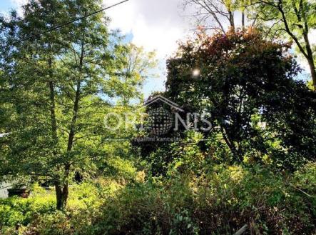 IMG_2797.jpg | Prodej - pozemek pro bydlení, 375 m²