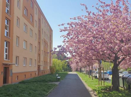 Prodej bytu, 2+1, 54 m² obrázek