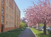 Prodej bytu, 2+1, 54 m²