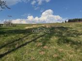Prodej - pozemek, zemědělská půda, 2 524 m²