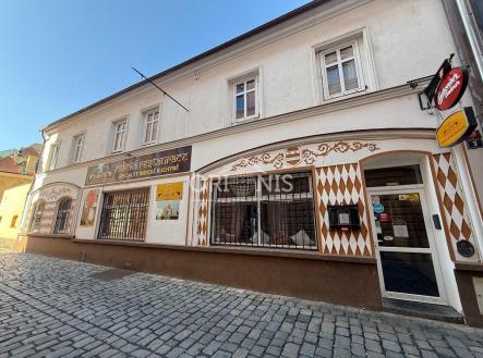 Pronájem - dům/vila, 250 m² obrázek