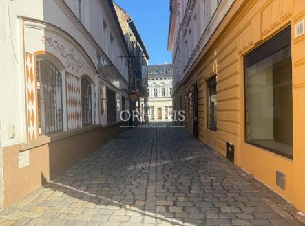 IMG_9953.jpeg | Pronájem - dům/vila, 250 m²