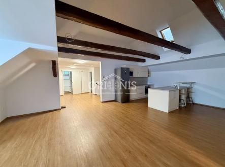 IMG_0734.jpeg | Pronájem bytu, 2+kk, 105 m²