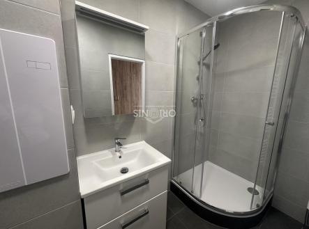 IMG_7879.jpeg | Pronájem bytu, 2+1, 52 m²