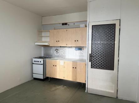 IMG_0797.jpeg | Pronájem bytu, 1+1, 37 m²