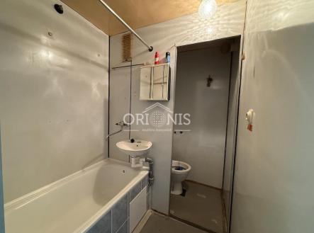 IMG_0803.jpeg | Pronájem bytu, 1+1, 37 m²