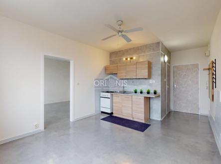 IMG_3988.jpeg | Pronájem bytu, 1+1, 33 m²