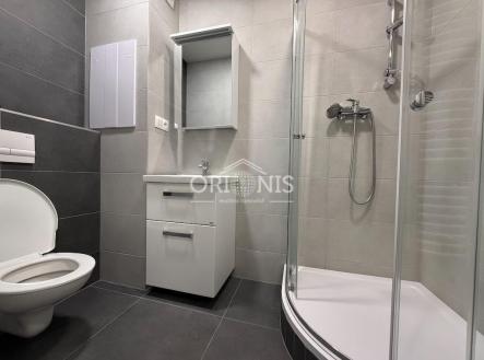 IMG_4457.jpeg | Pronájem bytu, 2+1, 52 m²