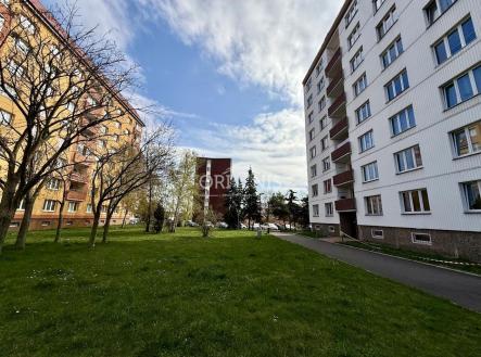 IMG_4871.jpeg | Prodej bytu, 4+1, 76 m²