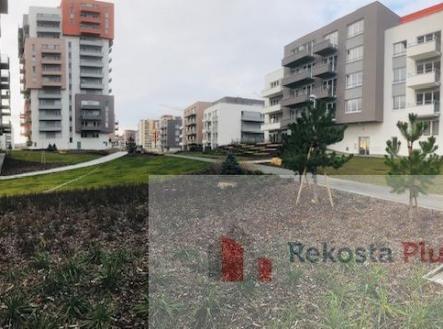 IMG_4216.jpg | Pronájem bytu, 1+kk, 33 m²