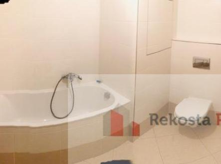 IMG_4219.jpg | Pronájem bytu, 1+kk, 33 m²