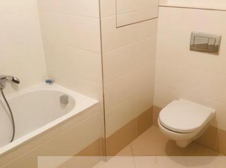 IMG_4220.jpg | Pronájem bytu, 1+kk, 33 m²