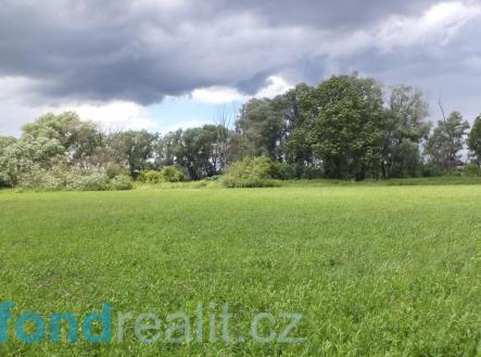 Prodej - pozemek, zemědělská půda, 15 590 m²