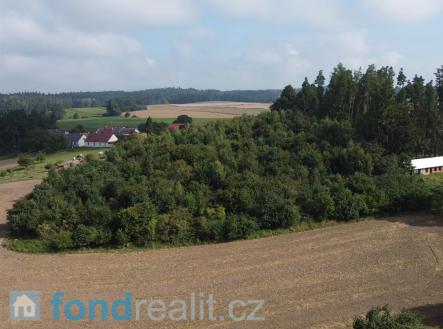 Prodej - pozemek, les, 10 063 m²