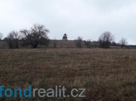 Prodej - pozemek, zemědělská půda, 29 954 m²