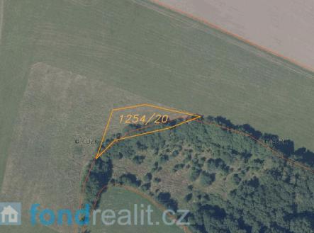 Prodej - pozemek, zemědělská půda, 7 831 m²