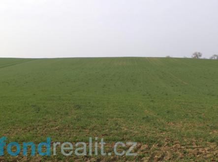 Prodej - pozemek, zemědělská půda, 2 376 m²