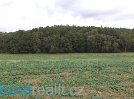 . | Prodej - pozemek, zemědělská půda, 1 718 m²