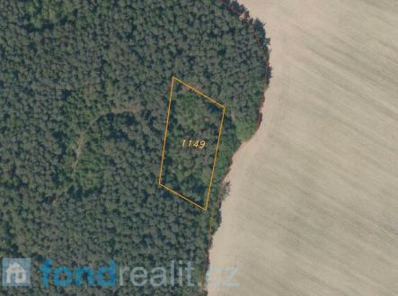 Prodej - pozemek, les, 3 299 m²