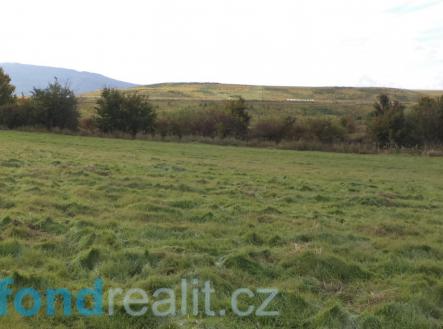 Prodej - pozemek, zemědělská půda, 3 929 m²