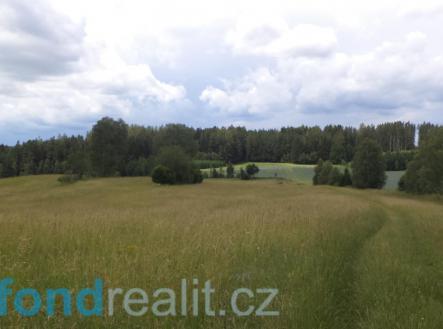Prodej - pozemek, zemědělská půda, 19 541 m²