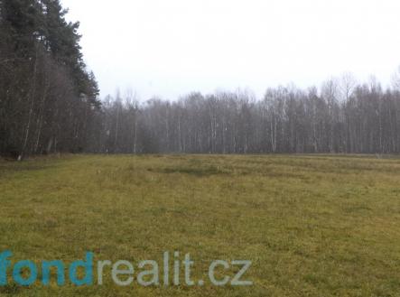 Prodej - pozemek, zemědělská půda, 22 308 m²