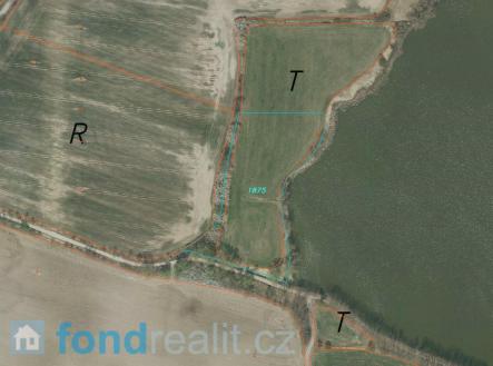 Prodej - pozemek, zemědělská půda, 12 432 m²