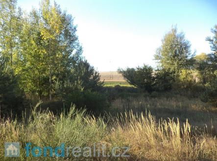 . | Prodej - pozemek, zemědělská půda, 2 442 m²
