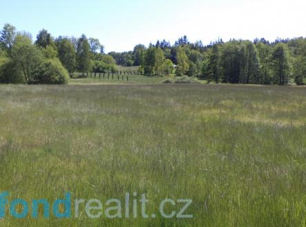 Prodej - pozemek, zemědělská půda, 50 580 m²