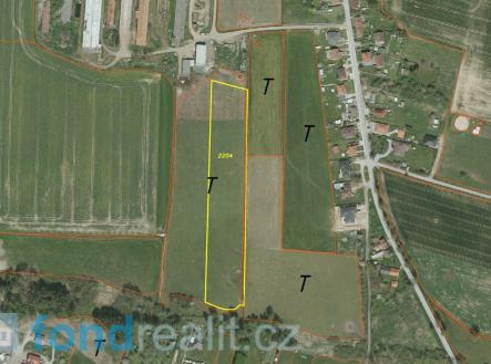 Prodej - pozemek, zemědělská půda, 75 650 m²