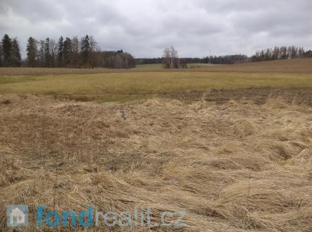 Prodej - pozemek, zemědělská půda, 7 248 m²